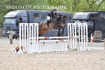 BPP_3870