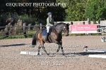 BPP_8228