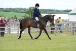 SBM_15986
