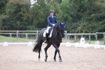 British Dressage portfolio