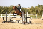 SBM_04004