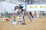 SBM_001354