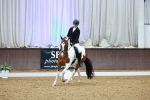 SBM_002196