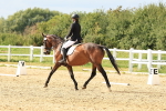 SBM_000561