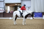 Class 6-9 - Prelim 15-Novice 22 portfolio