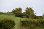 WJ5_6044