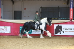 SBM_12741