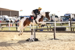SBM_003204