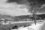 Duilhac-sous-Peyrepertuse