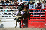 3HRodeo_CFD_JUL_24_2026_02904_BBartlett