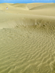 Gran Canaria sand dunes