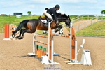 Cls 28 Foxhunter portfolio