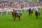 270724-Race 6-Ziggy-7511