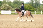 SBM_006415
