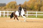 SBM_001699
