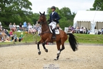 180-GUEULE_DE_REVE-Arthur_Duffort-SUNTrotUp+SJ portfolio