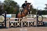 Saturday 14th - Wessex Arena portfolio
