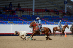 3HRodeo8-11-25_PRCASteer_05785_