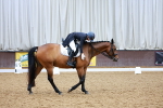 SBM_001981