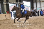 BPP_6252