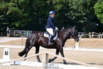 Novice Bronze start - break portfolio
