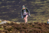 Coledale-1248