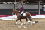 BPP_7444