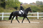SBM_000296