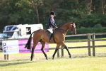 SBM_20181