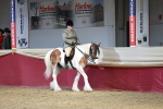 SBM_06954