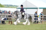 SBM_17162