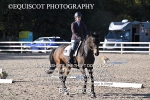 BPP_9309