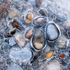 IN ICE #4 - LONG POINT