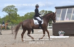 BPP_6711