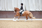 SBM_002181
