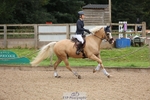 01. Clear Round - 80cm portfolio