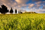 Light on Mdina