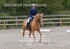 BPP_6755