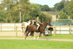 SBM_69879