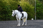 WJ5_8984