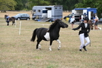 WJ6_5335