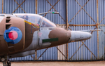 Harrier GR3 XV752_MG_4117