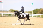 SBM_007967