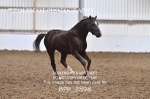BPP_2898