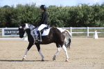 SBM_001156