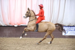 SBM_005979