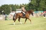 SBM_10228