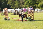 SBM_11185