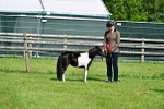 SBM_03640
