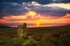 James Stone on Blubberhouses Moor